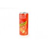 Schweppes Agrumes